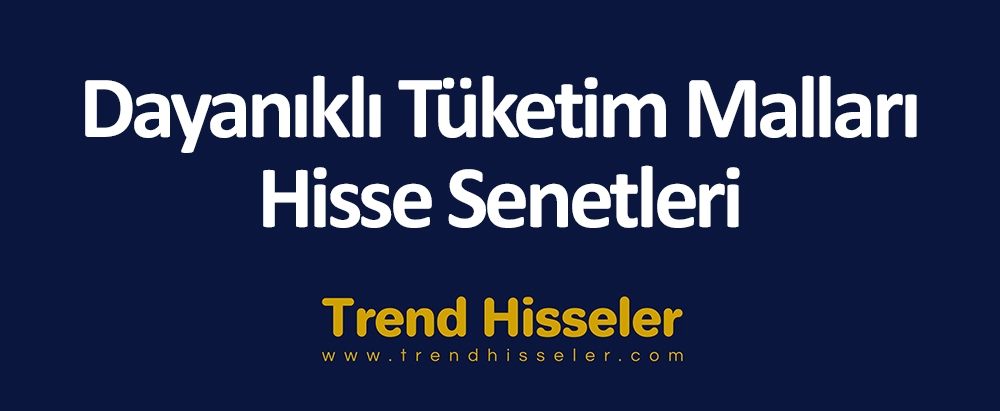 Dayanıklı Tüketim Malları Sektörü Hisse Senetleri