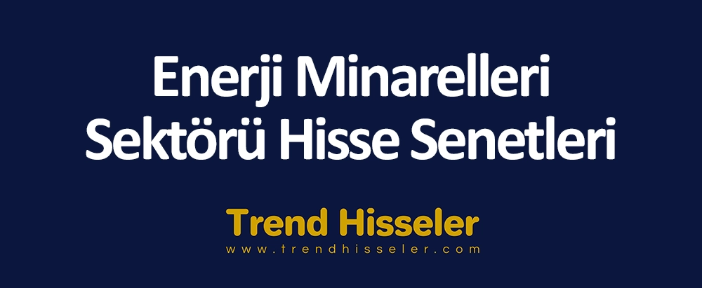 Enerji Minarelleri Sektörü Hisse Senetleri, Enerji hisse