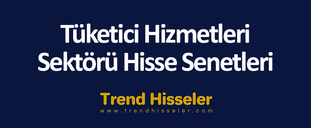 Tüketici Hizmetleri Sektörü Hisse Senetleri