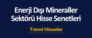 Enerji Dışı Mineraller Sektörü Hisse Senetleri