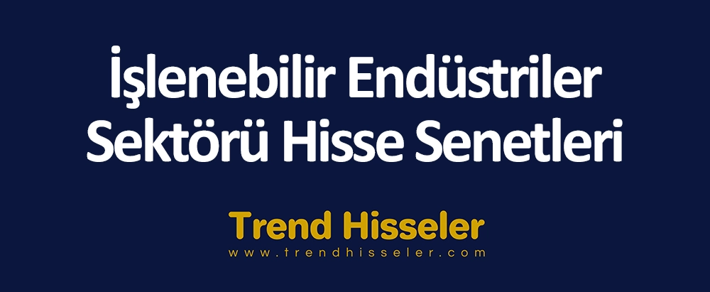 İşlenebilir Endüstriler Sektörü Hisse Senetleri