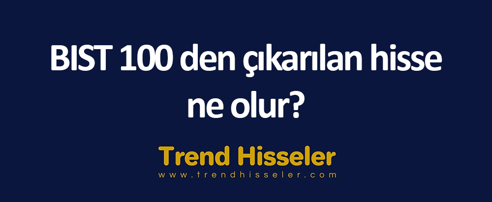 BIST 100 den çıkarılan hisse ne olur?