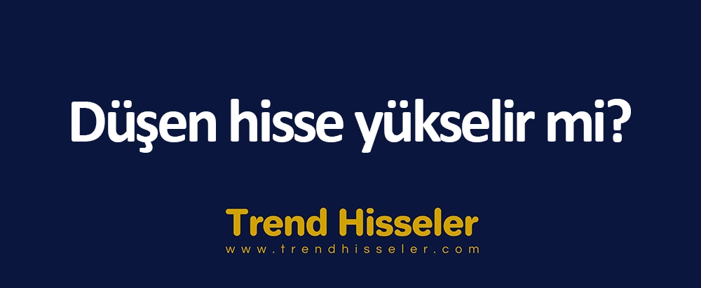 Düşen hisse yükselir mi?